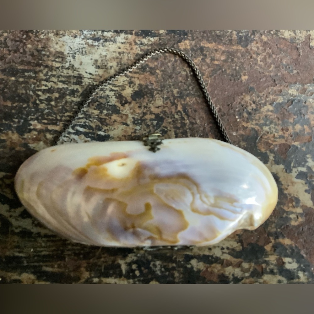 Antique Victorian Oyster Shell Purse - Picture 2 of 6